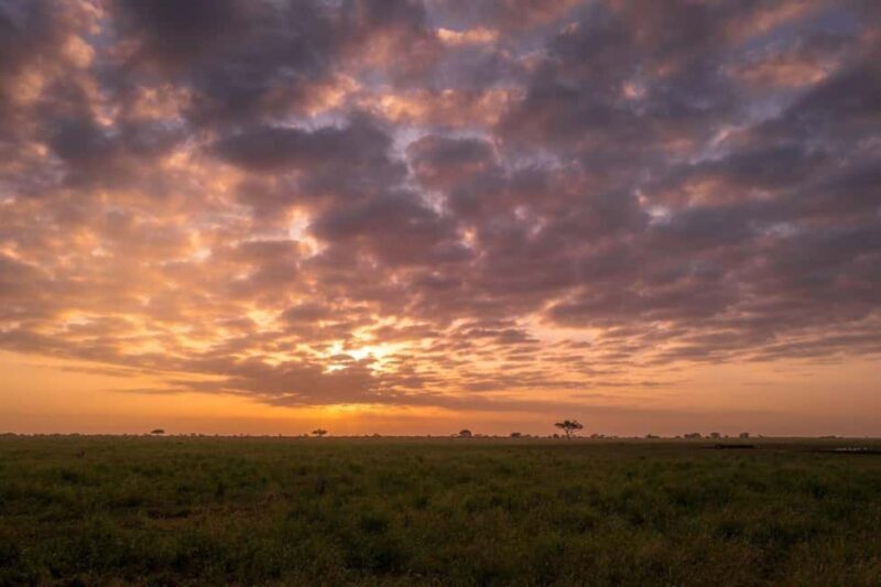 Amboseli, Tsavo East, Tsavo West & Sanctuary Safari - Day Three: Amboseli to Tsavo East