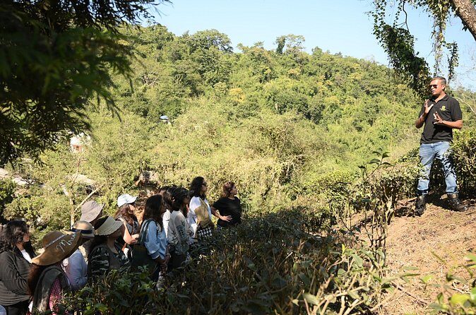 Amchong Tea Estate + Factory Visit (with Hi-tea only) - FAQ