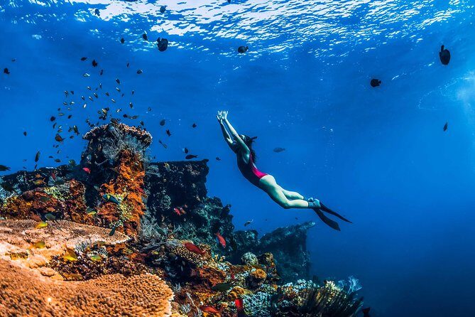Amed Bali Snorkelling: Japanese Shipwreck & Vienna Beach Tour - Key Points