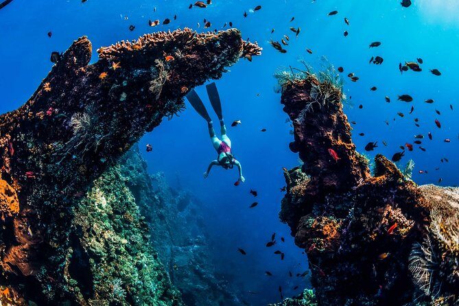 Amed Bali Snorkelling: Japanese Shipwreck & Vienna Beach Tour - Analyzing the Cost and Value