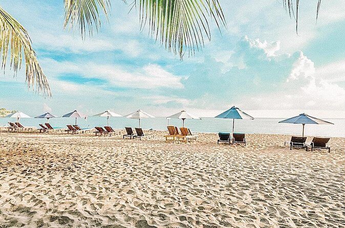 Amed Bali Snorkelling: Japanese Shipwreck & Vienna Beach Tour - The Sum Up