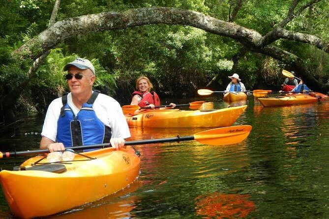 Amelia Island Area Kayak Rental on Lofton Creek with Adventures Up The Creek - An Honest Look at the Kayak Rental Experience