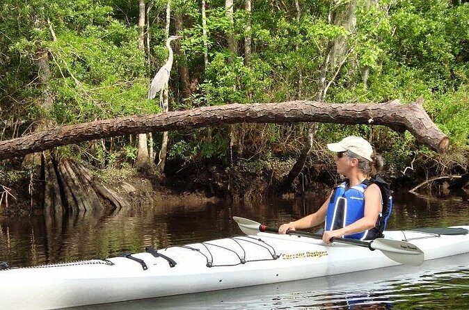 Amelia Island Area Kayak Rental on Lofton Creek with Adventures Up The Creek - FAQs