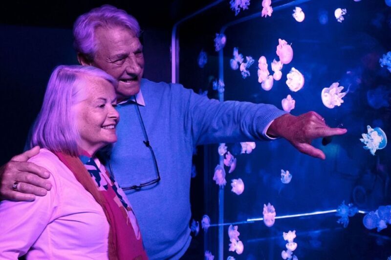 American Dream: SEA LIFE® Aquarium Entry Ticket - Key Points