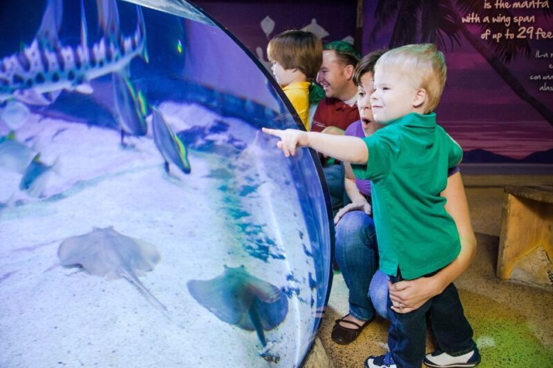 American Dream: SEA LIFE® Aquarium Entry Ticket - FAQ