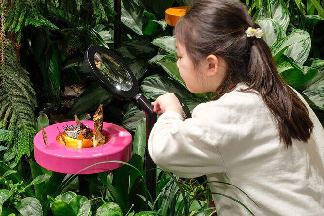 American Museum of Natural History Admission Ticket - FAQ