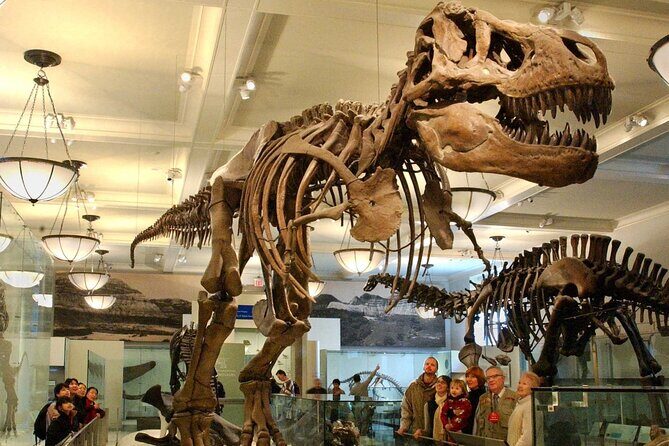 American Museum of Natural History Admission Ticket - Location and Accessibility