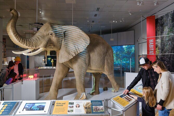 American Museum of Natural History Admission Ticket - Special Exhibits and Upgrades
