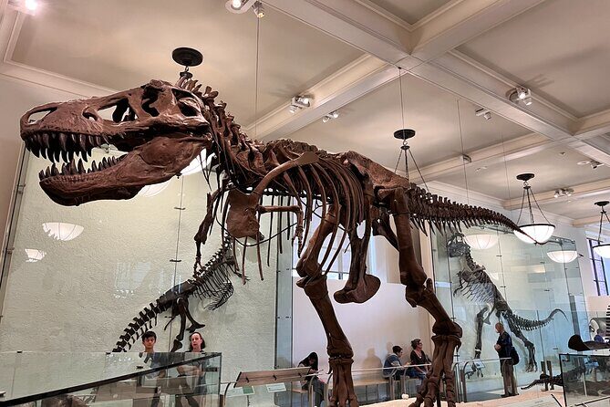 American Museum of Natural History and MOMA Combo Tickets - The Sum Up