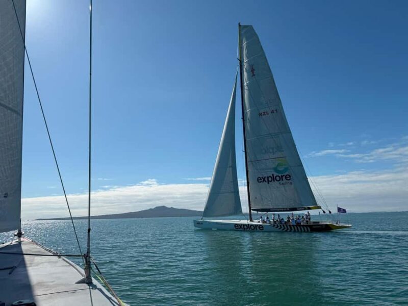 Americas Cup 2-Hour Sailing Experience Waitemata Harbour - Key Points
