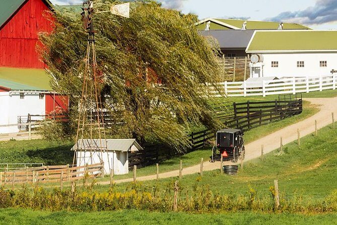 Amish Experience Visit-In-Person Tour - Why This Tour Stands Out