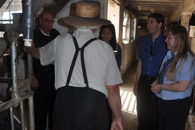 Amish Experience Visit-In-Person Tour - What Do Travelers Say?
