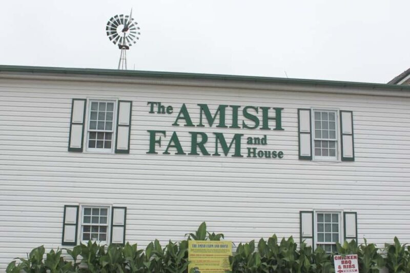 Amish Farm and House 1-Day Tour From Washington D.C. - Practical Tips for a Smooth Day Trip