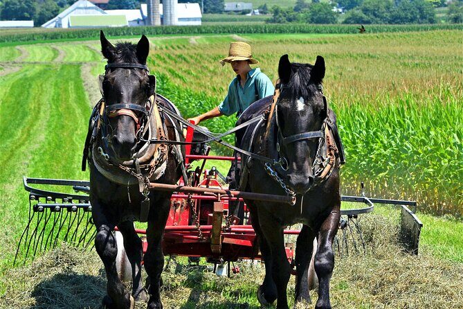 Amish Farmlands Tour - Amish Farmlands Tour: An Authentic Peek into Amish Life