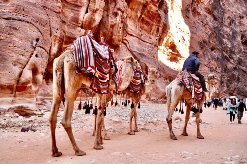 Amman to Petra Wadi Rum Dead Sea 2 or 3 Days Private Tour - Authentic Experiences and Traveler Insights