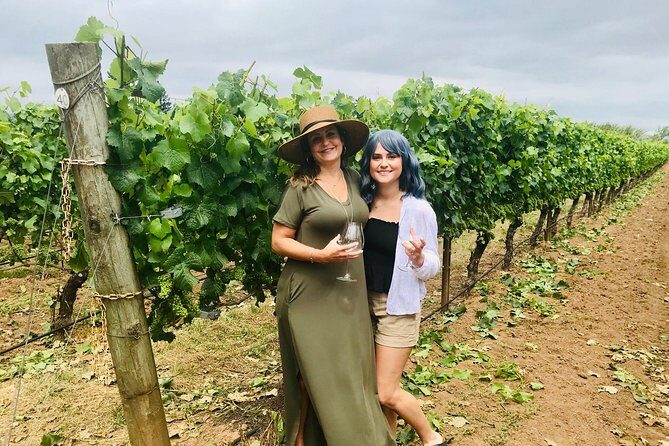 Amy & Reba's Day Drinking Wine Tours, Where we'll Drive you to Drink - The Sum Up: Who Will Love This Tour?