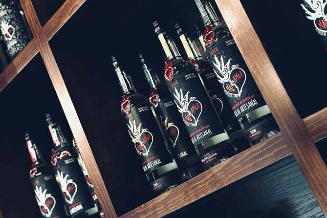 An adventure for the senses: Mezcal, fields and crafts. - The Experience in Detail