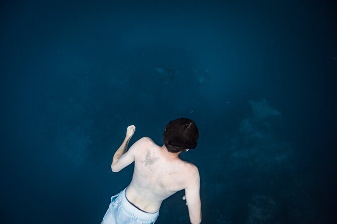 An Eagle Ray and Turtle Tour-Small Groups & Photography Included - The Benefits of a Small-Group Experience