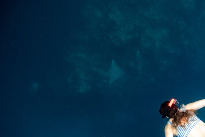 An Eagle Ray and Turtle Tour-Small Groups & Photography Included - Who Should Consider This Tour?