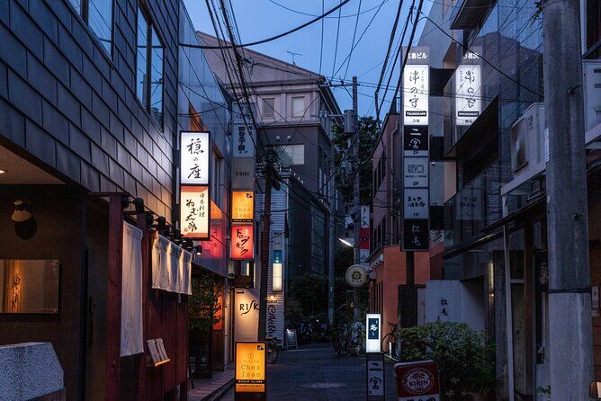 An Enchanted Evening with Geisha A Rare Experience in Tokyo - An In-Depth Look at What to Expect