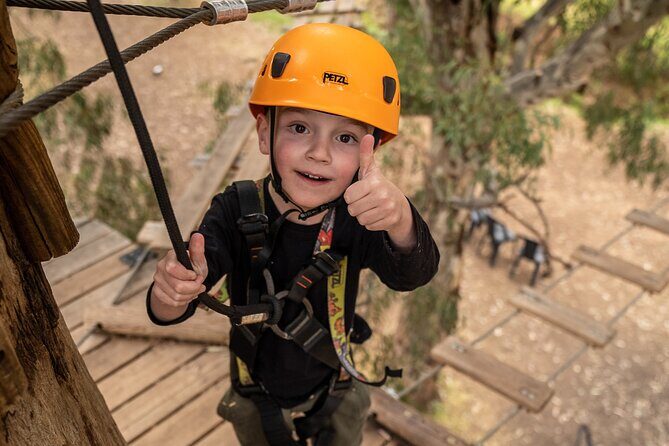 An exciting, Tree Top Adventure for Our Littlest Adventurers - The Atmosphere and Environment