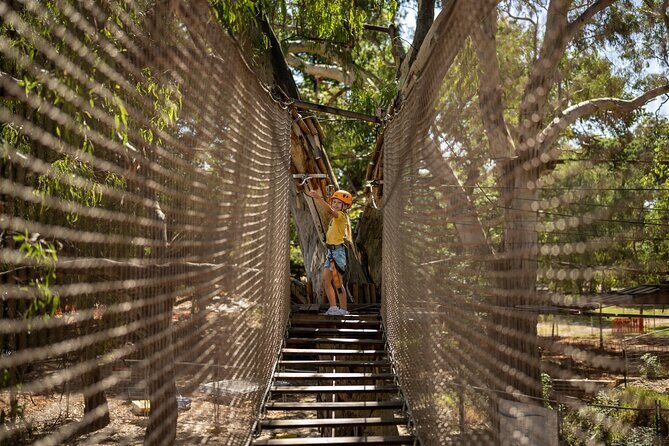 An exciting, Tree Top Adventure for Our Littlest Adventurers - Who Should Consider This Tour?