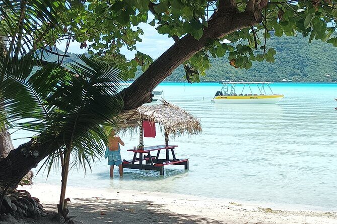 An Immersed Day in Bora Bora with O-sea - Who Will Love This Tour?
