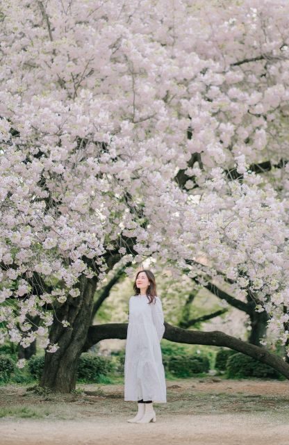 An Intimate Journey Through Tokyo's Hidden Gems with Mimi - Final Thoughts