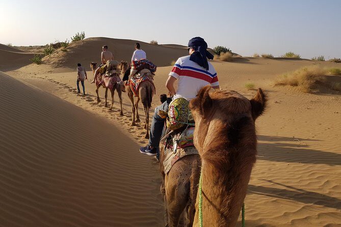 An Overnight Non-touristic Camel Safari (2PM to 11:30 AM Next Day) - Final Thoughts