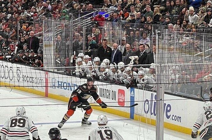 Anaheim Ducks Ice Hockey Game at Honda Center - Who Will Enjoy This?