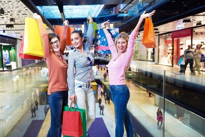 Anaheim Resort Private Transfer to or from Los Angeles. - Who Should Consider This Service?