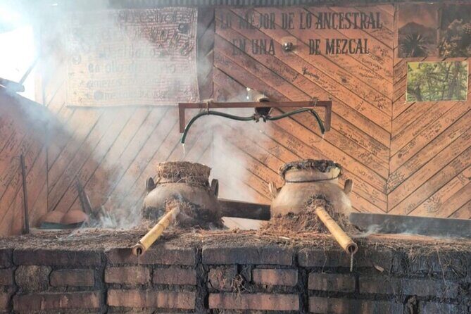 Ancestral Route - Tasting the Spirit: Mezcal at Palenque Capotlán