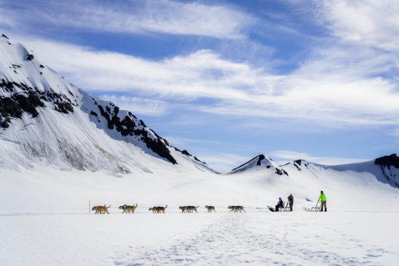 Anchorage Area: Helicopter and Glacier Dogsled Tour - Anchorage Area: Helicopter and Glacier Dogsled Tour — A Full-Throttle Alaska Adventure