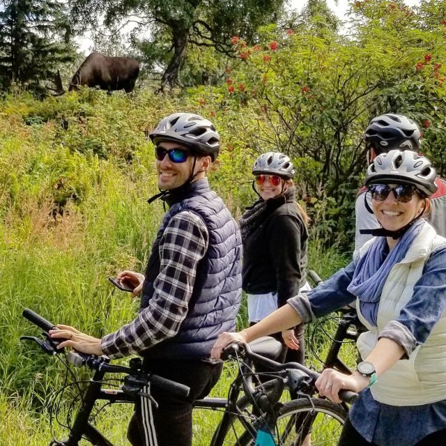 Anchorage: Coastal Trail 3-Hour City Bike Tour - Who Will Love This Tour?