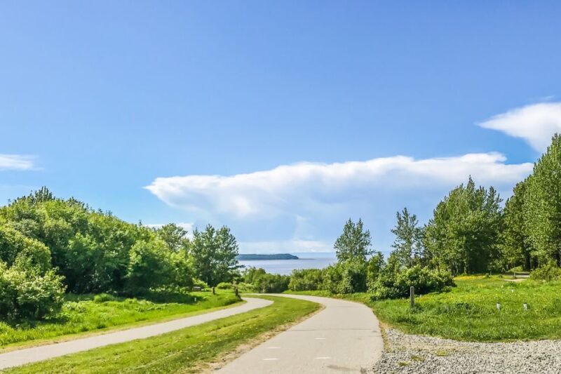 Anchorage: Coastal Trail 3-Hour City Bike Tour - Final Thoughts
