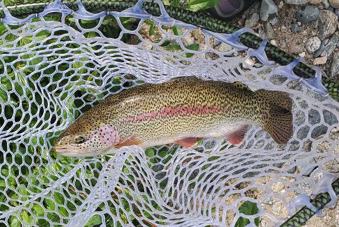 Anchorage Guided Fly-fishing - The Itinerary in Detail