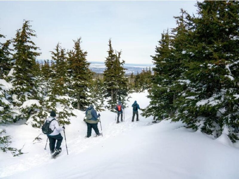 Anchorage: Heli Snowshoe Adventure - Practical Considerations