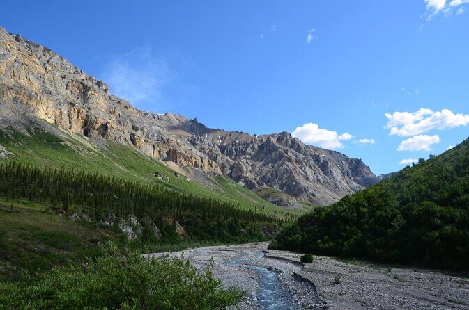 Anchorage: Kenai Fjords & Denali National Park 5 Day 4 Night Tour - Introduction