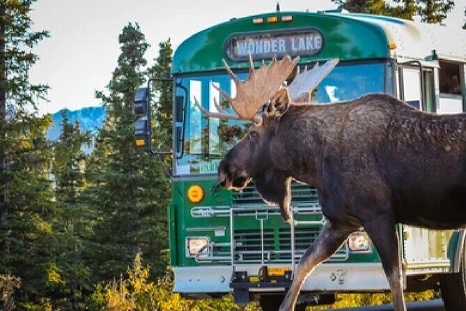 Anchorage: Kenai Fjords & Denali National Park 5 Day 4 Night Tour - FAQ