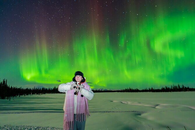 Anchorage Northern Lights Tour - Introduction: Why This Tour Might Be Your Best Bet