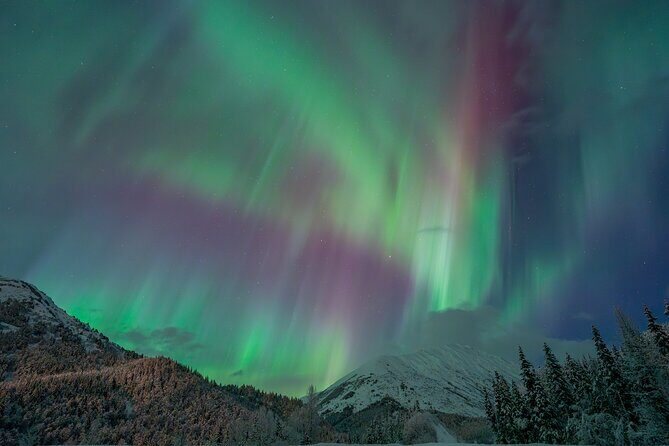 Anchorage Northern Lights Tour - What to Expect: A Step-by-Step Breakdown