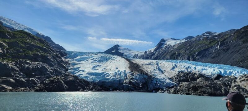 Anchorage: Portage Glacier and Wildlife Explorer Cruise - An Overview of the Tour