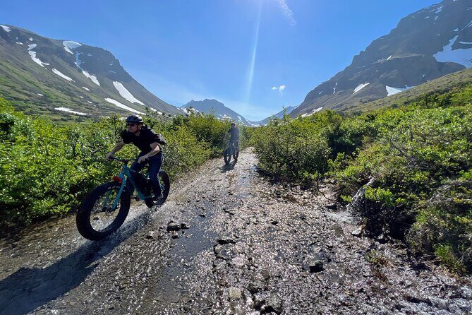 Anchorage Scenic Mountain Bike Tour - Who Will Love This Tour