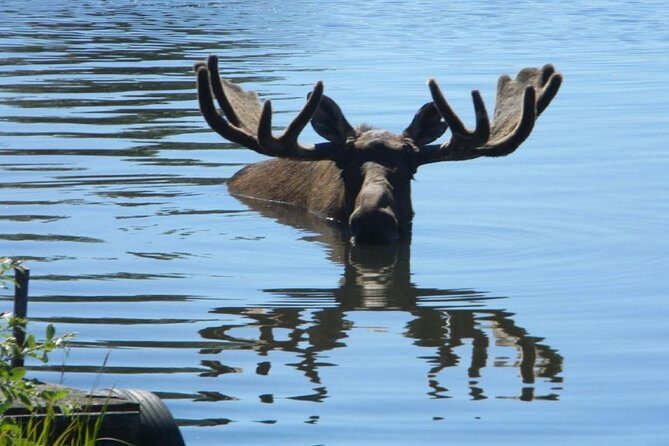 Anchorage to Seward Cruise Transfer and Private Tour - Exploring the Itinerary: What Makes This Tour Stand Out
