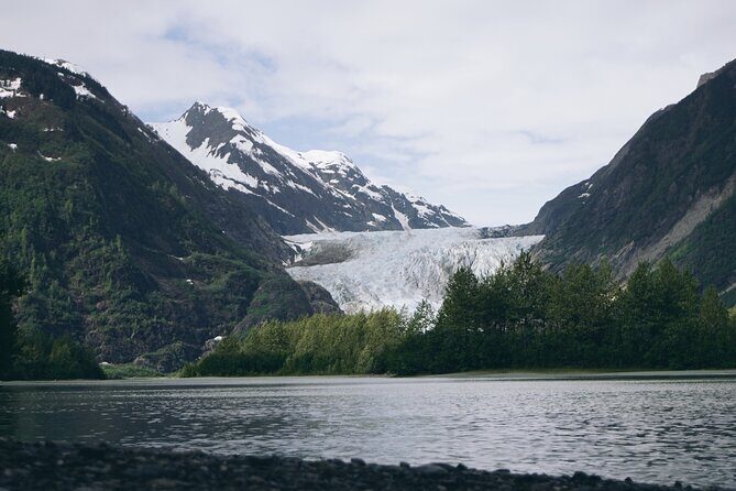 Anchorage to Seward- Pre-Cruise Curated Wildlife Tour +Transfer - The Sum Up: Who Will Love This Tour?