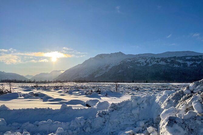 Anchorage to Seward- Pre-Cruise Curated Wildlife Tour +Transfer - FAQ