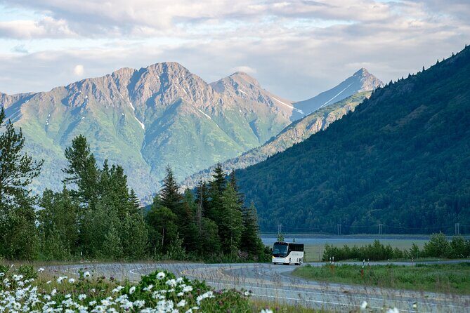 Anchorage to Seward Wildlife Adventure - A Detailed Look at the Anchorage to Seward Wildlife Adventure