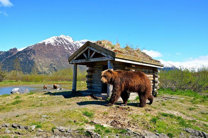 Anchorage to Whittier Cruise Transfer and Private Tour - Introduction