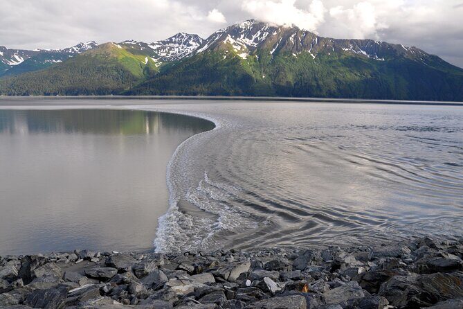 Anchorage to Whittier Direct Transfer Tour - Key Points