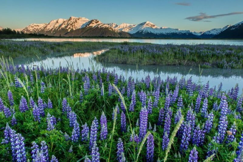 Anchorage: Turnagain Arm Highlights Photography Day Trip - Exploring the Scenic Turnagain Arm